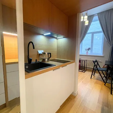 Centre Loft Lejlighed